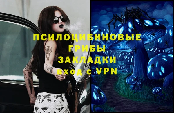 apvp Новодвинск