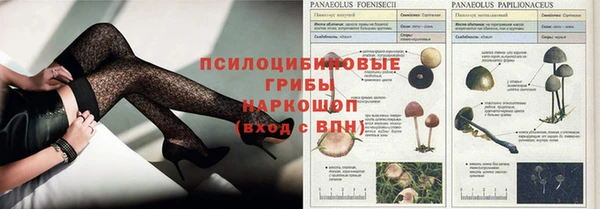 apvp Новодвинск