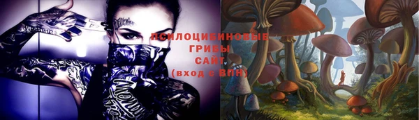 apvp Новодвинск