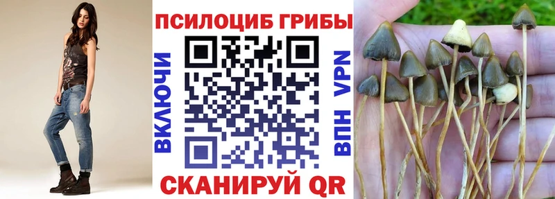 blacksprut как войти Нижнекамск Псилоцибиновые грибы ЛСД