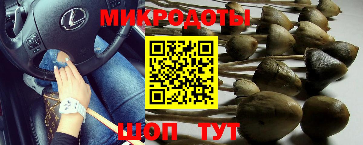 Галлюциногенные грибы прущие грибы Нижнекамск