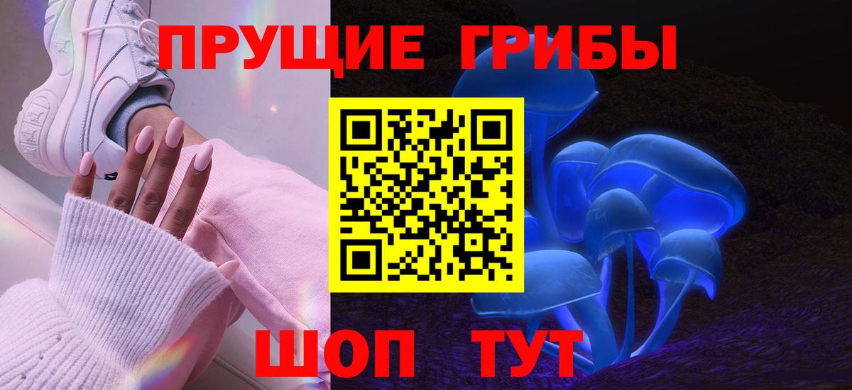 купить  сайты  Галлюциногенные грибы Cubensis  Вход с VPN  Нижнекамск  Галлюциногенные грибы Magic Shrooms 